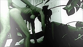 Salope prise en double penetration